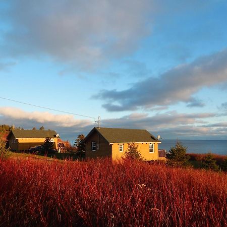 Les Chalets Brise-De-Mer Sainte-Therese-de-Gaspe Bagian luar foto