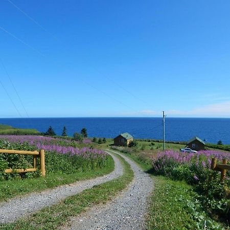 Les Chalets Brise-De-Mer Sainte-Therese-de-Gaspe Bagian luar foto