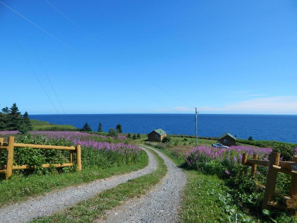 Les Chalets Brise-De-Mer Sainte-Therese-de-Gaspe Bagian luar foto