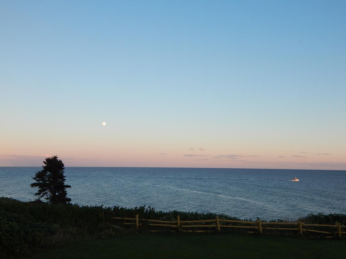 Les Chalets Brise-De-Mer Sainte-Therese-de-Gaspe Bagian luar foto